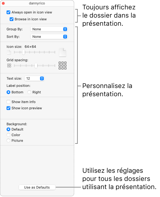 Options de présentation d’un dossier par icônes.