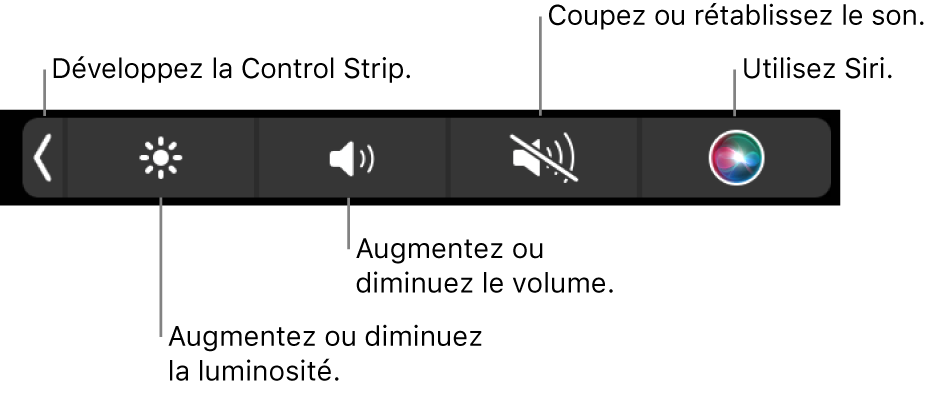 La Control Strip condensée comprend des boutons de gauche à droite, pour développer la Control Strip, augmenter ou baisser la luminosité de l’écran ou le volume, couper ou rétablir le son et utiliser Siri.