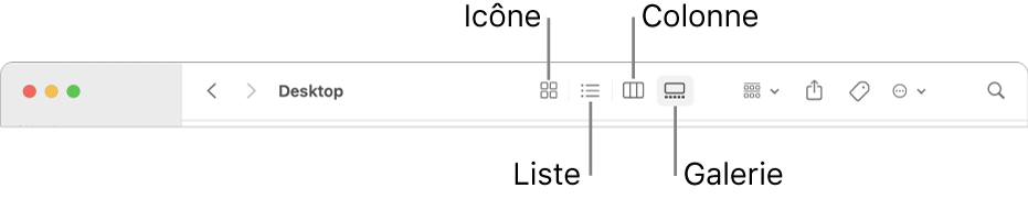 La barre d’outils du Finder qui affiche les boutons d’options de présentation d’un dossier.