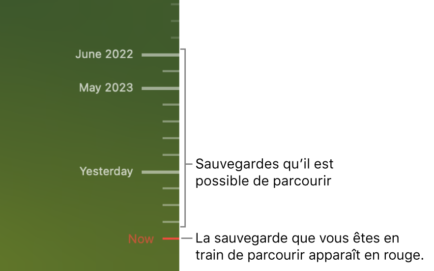 Graduations de la chronologie de sauvegarde. La graduation rouge indique la sauvegarde que vous consultez.