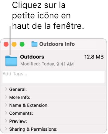 La fenêtre d’informations d’un dossier, avec l’icône générique du dossier sélectionné.