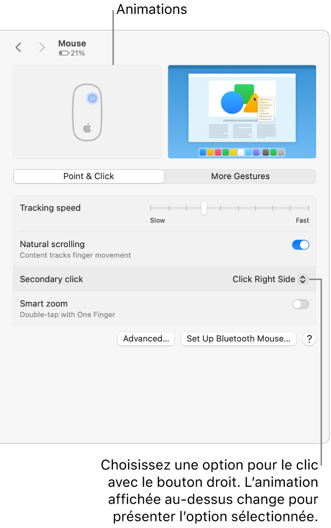 Les options relatives à la souris dans Réglages Système affichant l’option du clic secondaire définie sur « Cliquer du côté droit » et l’animation correspondante.