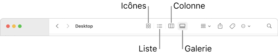 La barre d’outils du Finder montrant les boutons d’options de présentation pour un dossier.