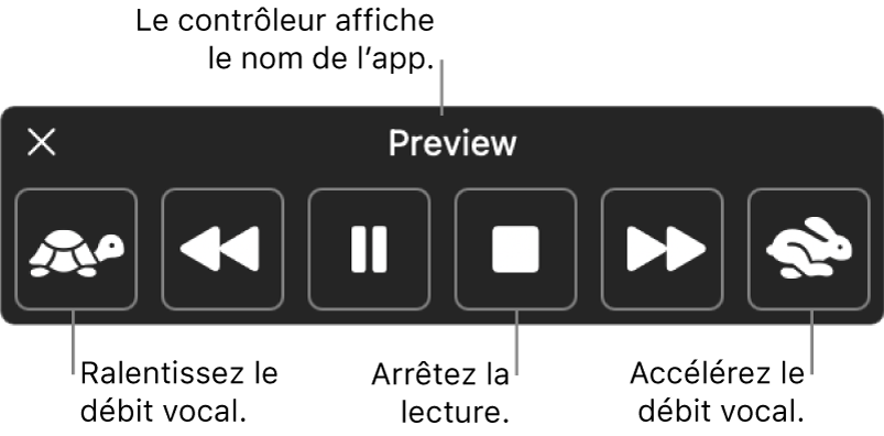 Le contrôleur à l’écran qui peut être affiché lorsque votre Mac énonce du texte sélectionné. Le contrôleur fournit six boutons qui, de gauche à droit, vous permettent de diminuer le débit vocal, revenir sur une phrase, démarrer ou mettre en pause la lecture, arrêter la lecture, avancer d’une phrase et augmenter le débit vocal. Le nom de l’app est affiché en haut du contrôleur.