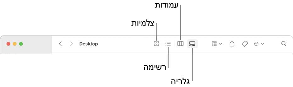 סרגל הכלים של ה-Finder מציג כפתורי אפשרויות תצוגה של תיקיה.