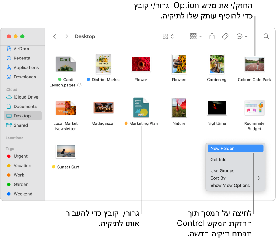 חלון Finder המכיל קבצים ותיקיות. בתפריט הקיצורים, האפשרות ״תיקיה חדשה״ מסומנת.