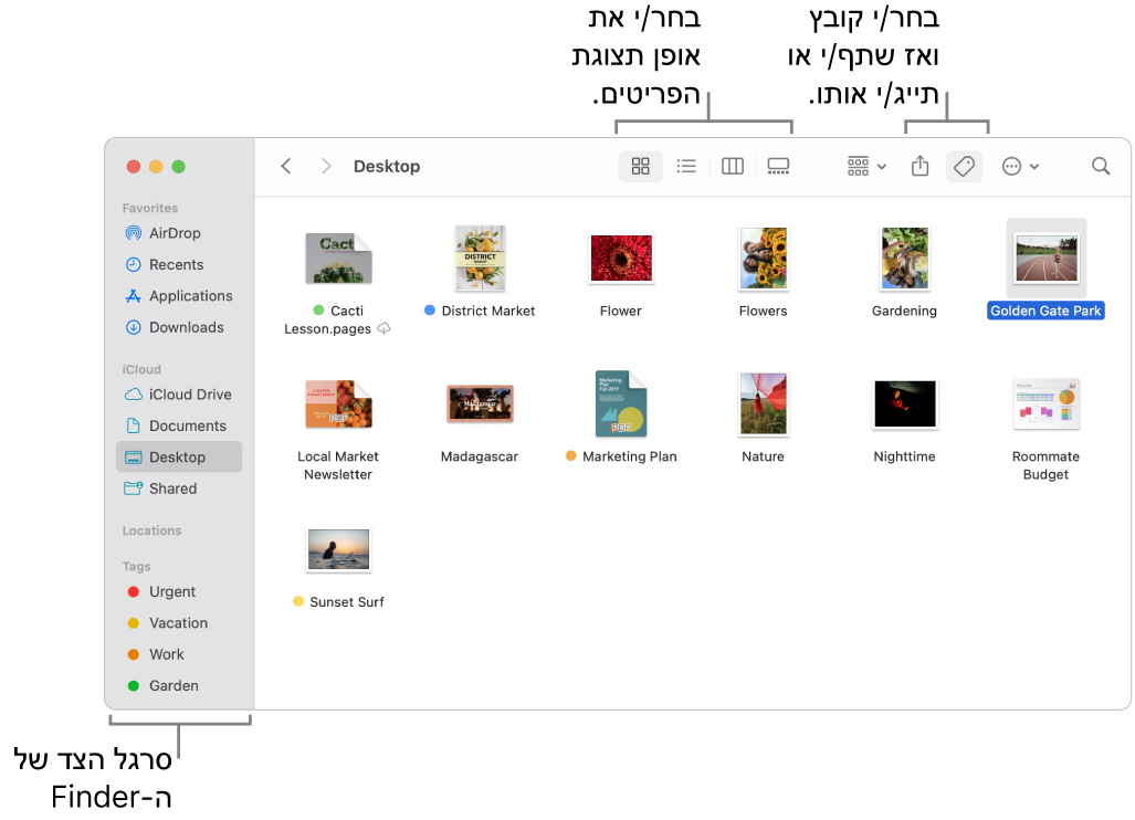 חלון Finder עם סרגל הצד של ה‑Finder מימין. בחלק העליון של החלון ישנם ארבעה כפתורים שמשנים את המראה של פריטים בחלון, וכפתורים נוספים לסידור ושיתוף של פריטים.