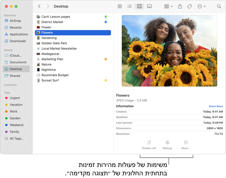 חלקה התחתון של החלונית ״תצוגה מקדימה״, עם כפתורי ״פעולות מהירות״.