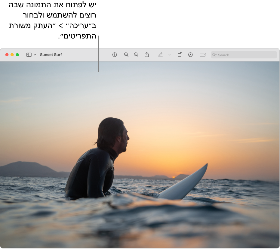 היישום ״תצוגה מקדימה״ עם תמונה המיועדת להעתקה.