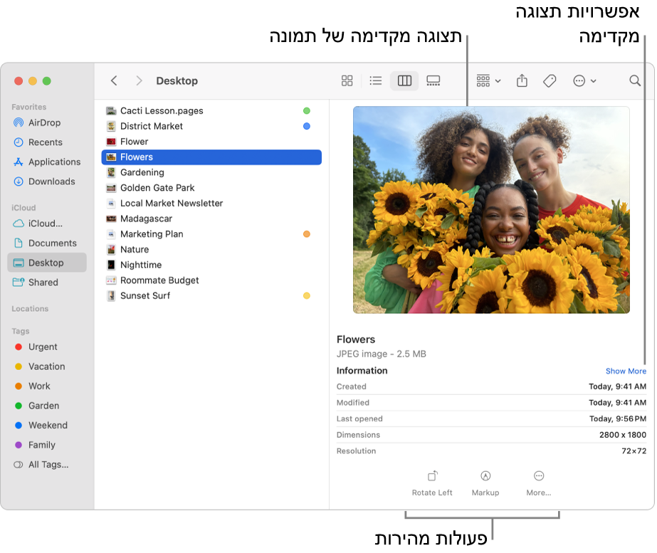 חלון של ה‑Finder המציג את סרגל הצד של ה‑Finder מימין, וקובץ תמונה נבחר באמצע החלון. משמאל, החלונית ״תצוגה מקדימה״ מציגה איך התמונה נראית, מתחת לה ניתן לראות את פרטי התמונה ובחלק התחתון מוצגים כפתורי ״פעולות מהירות״.