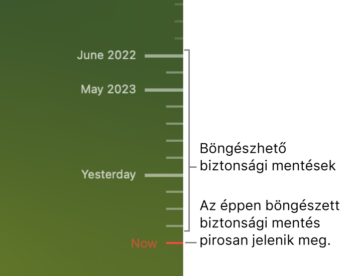 A biztonsági mentés idővonala mentén pipajelek láthatók. Az aktuálisan böngészett biztonsági másolatot egy piros pipa jelöli.