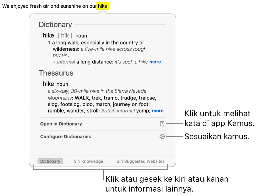 Jendela Cari menampilkan definisi Kamus dan Tesaurus untuk kata.