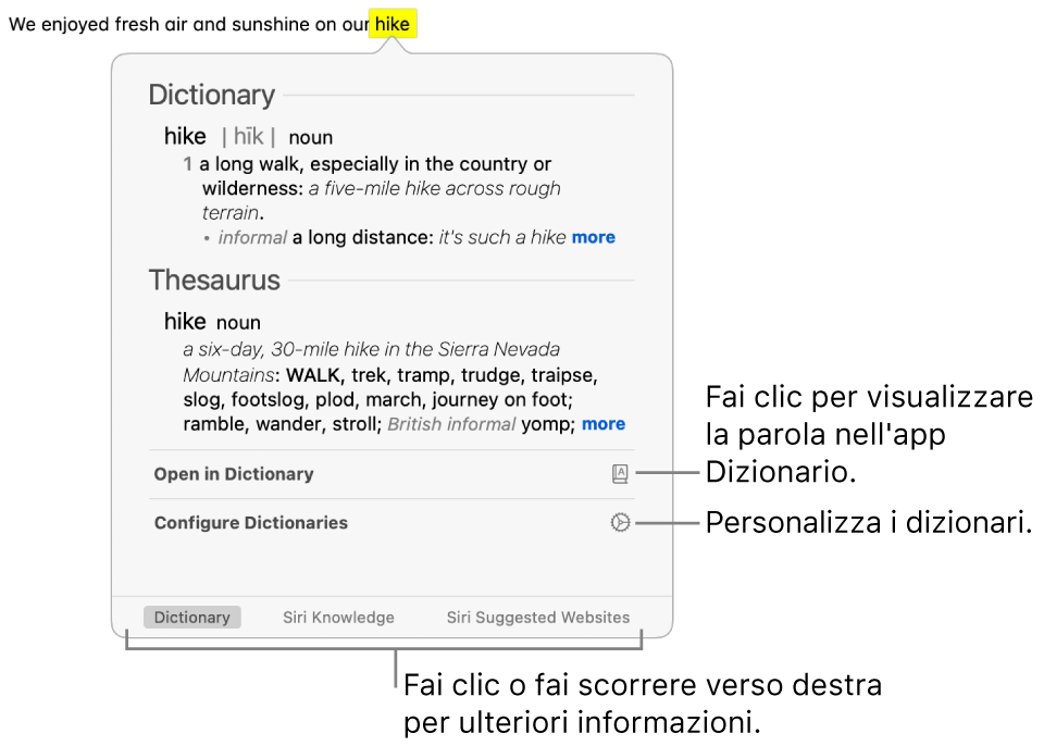 La finestra di ricerca che mostra le definizioni di una parola in Dizionario e Sinonimi e contrari.