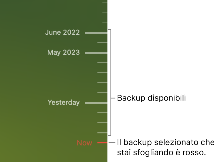 Linee che indicano i backup nella timeline. Il segno di spunta rosso indica il backup che stai sfogliando.