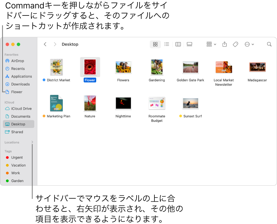 Finderのサイドバーの「場所」の右側に矢印が表示されていて、クリックするとさらに項目が表示されます。右側のFinderウインドウで、ファイルが選択されていて、ファイルへのショートカットがサイドバーの「よく使う項目」の下にあります。