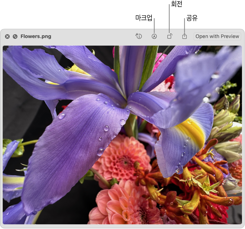 이미지에 마크업을 추가하거나, 이미지를 회전 또는 공유하거나, 미리보기 앱에서 열 수 있는 버튼이 있는 훑어보기 윈도우의 이미지.