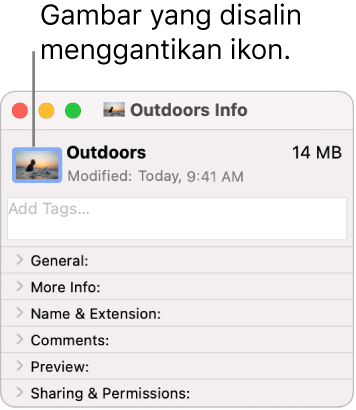 Tetingkap Info untuk folder, menunjukkan ikon generik digantikan oleh gambar.