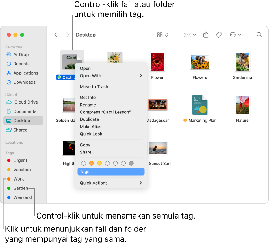 Tetingkap Finder yang mengandungi fail dan folder ditag, dengan fail dipilih. Dalam menu pintasan, terdapat pilihan warna untuk tag dan Tag diserlahkan.