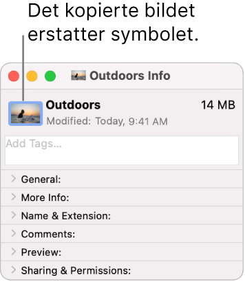 Info-vinduet for en mappe som viser det generiske symbolet erstattet av et bilde.