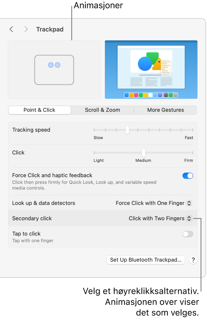 Valg for Styreflate i Systeminnstillinger som viser at valget for sekundærklikk er satt til Klikk med to fingre og tilsvarende animasjon.