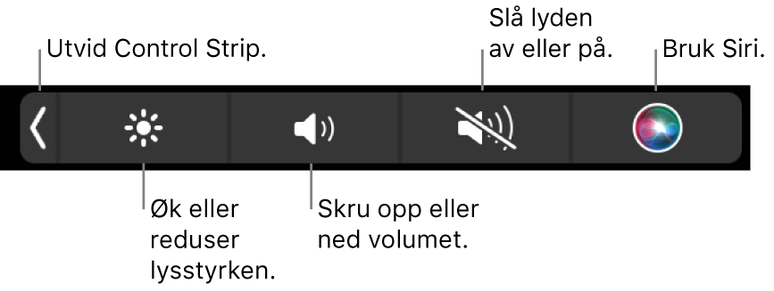 Når Control Strip er minimert, inneholder den knapper, fra venstre mot høyre, for å utvide Control Strip, øke eller redusere lysstyrke og volum, slå lyden av eller på og bruke Siri.