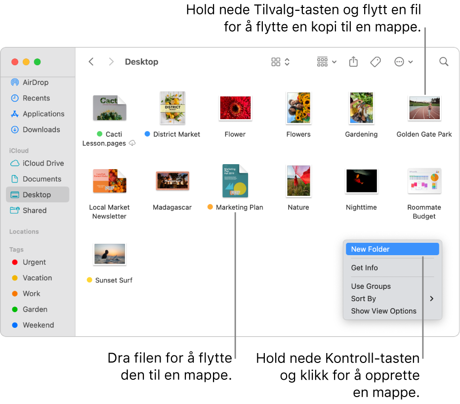 Et Finder-vindu med filer og mapper. Ny mappe er uthevet i snarveismenyen.