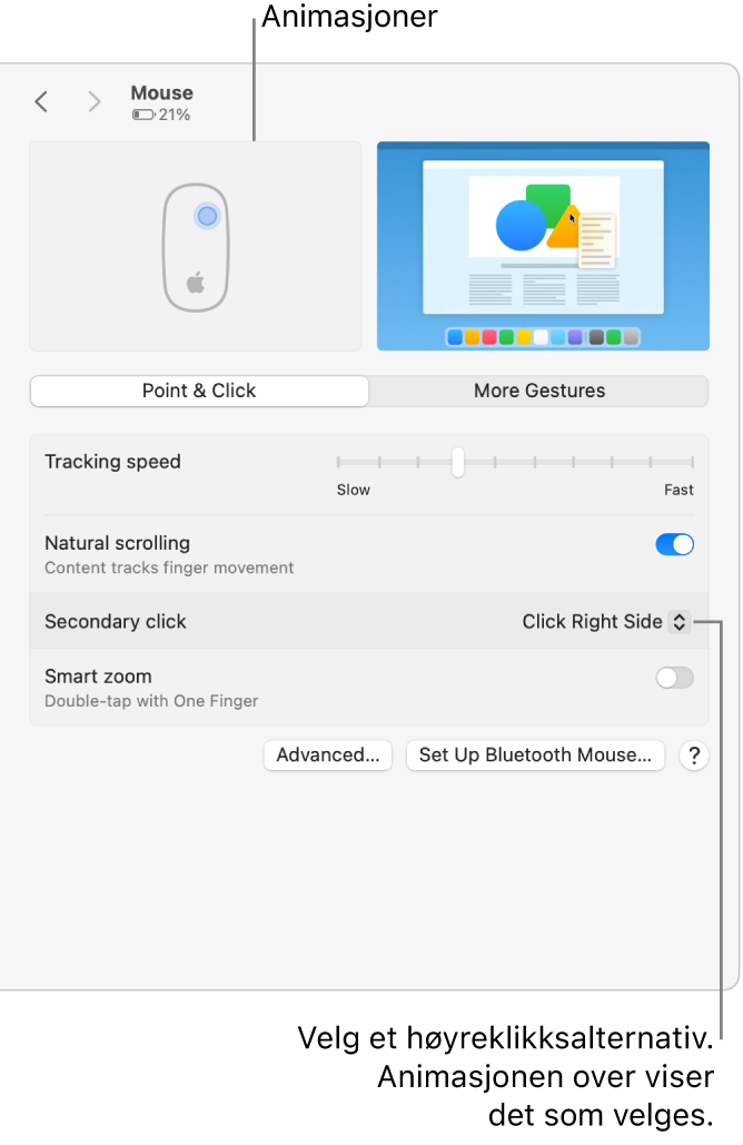 Valg for Mus i Systeminnstillinger som viser at valget for sekundærklikk er satt til Klikk på høyre side og tilsvarende animasjon.
