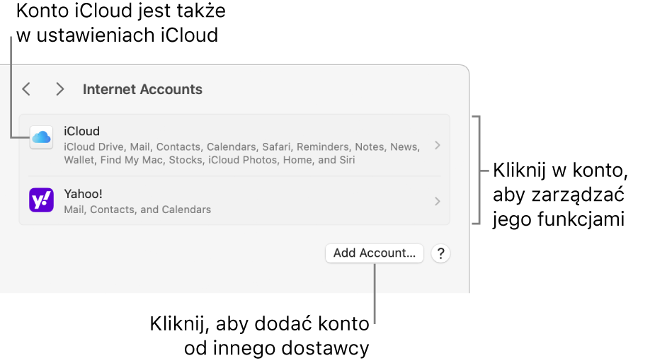 Ustawienia kont internetowych z listą kont skonfigurowanych na Macu.
