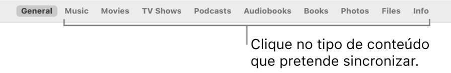 A linha de opções na parte superior da janela, que mostra os tipos de conteúdo que pode sincronizar.