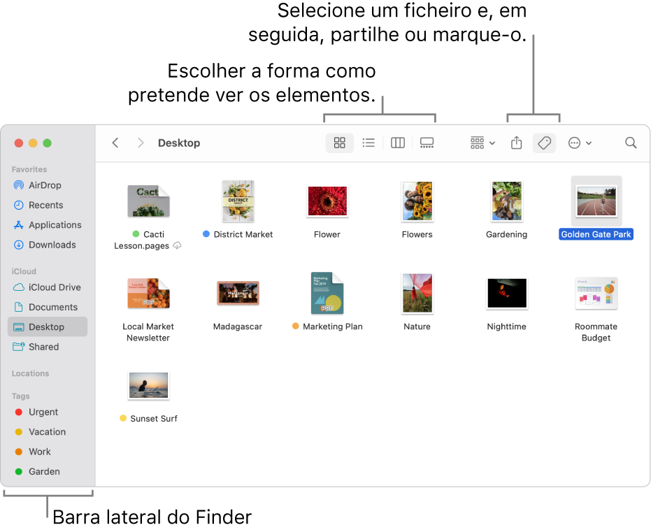 Uma janela do Finder com a barra lateral do Finder à esquerda. No parte superior da janela encontram-se quatro botões que mudam a forma como os elementos são apresentados na janela e botões adicionais para organizar e partilhar elementos.