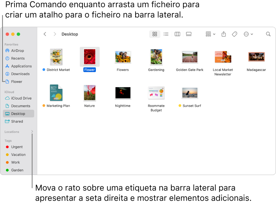 À direita de Locais na barra lateral do Finder encontra-se uma seta para clicar e mostrar mais elementos. Na janela do Finder à direita, um ficheiro está selecionado e existe um atalho para o ficheiro na barra lateral, em Favoritos.