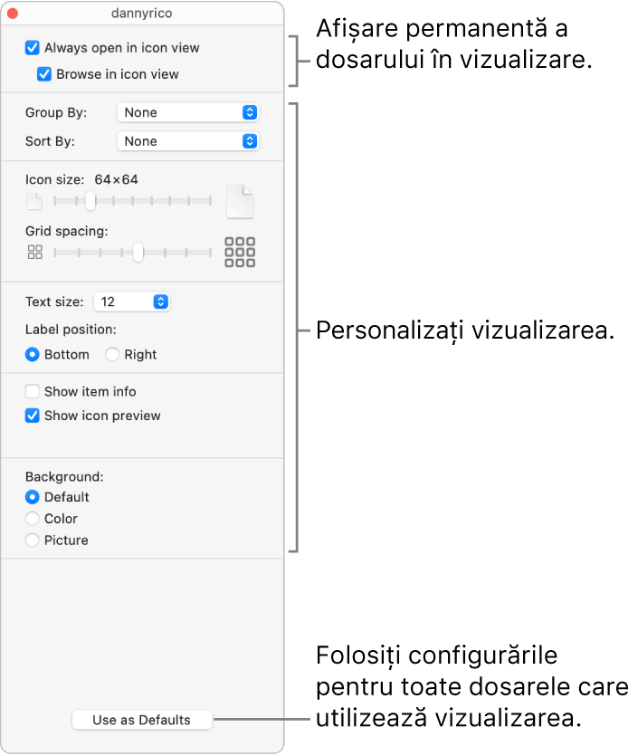 Opțiunile de vizualizare Pictogramă pentru un dosar.