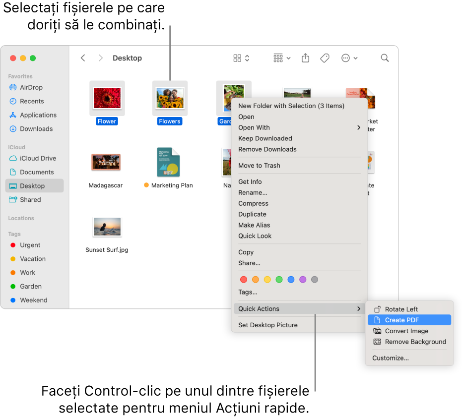 O fereastră Finder cu fișiere și dosare, în care sunt selectate trei fișiere și opțiunea Creeză un PDF este evidențiată în meniul Acțiuni rapide.