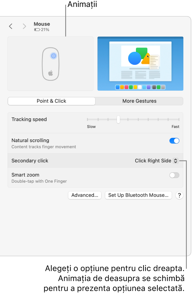 Opțiunile Maus din Configurări sistem afișând opțiunea pentru clic secundar configurată la Clic pe partea dreaptă și animația corespunzătoare.