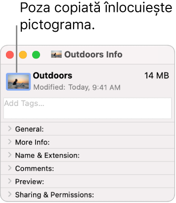 Fereastra Informații pentru un dosar, afișând pictograma generică înlocuită de o imagine.