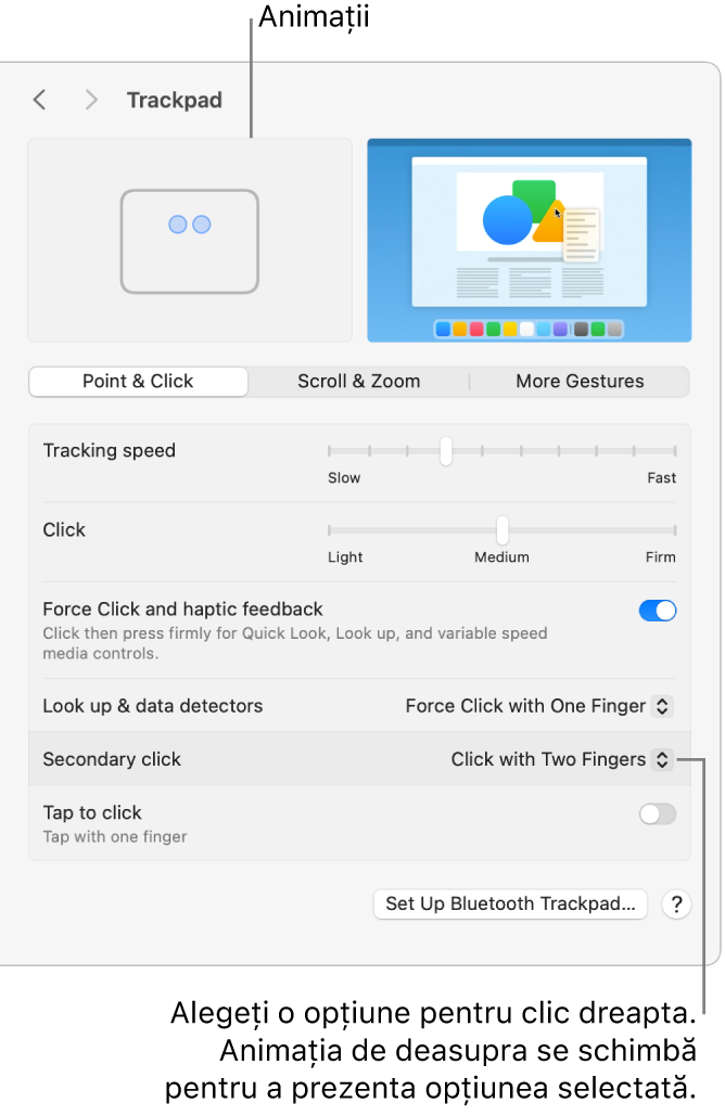 Opțiunile Trackpad din Configurări sistem afișând opțiunea pentru clic secundar configurată la Clic cu două degete și animația corespunzătoare.