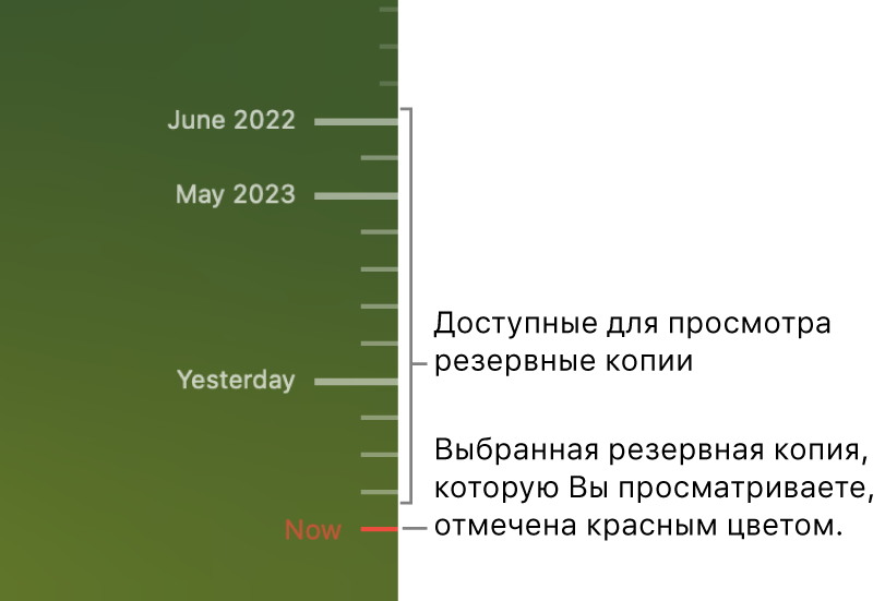 Деления на шкале времени резервного копирования. Красной галочкой помечена та резервная копия, которую Вы просматриваете.