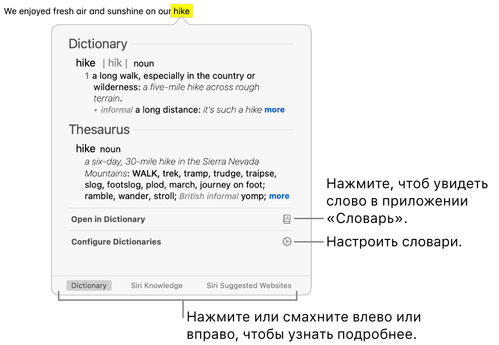 Окно поиска в словаре, в котором показаны определения слова из словаря и тезауруса.