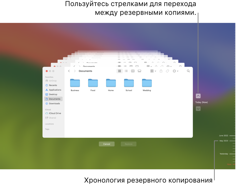 Окно Time Machine, в котором отображаются окна Finder, каждое из которых представляет собой резервную копию, и стрелки для навигации. С помощью стрелок и шкалы времени резервного копирования справа можно перемещаться между резервными копиями и выбирать файлы для восстановления.