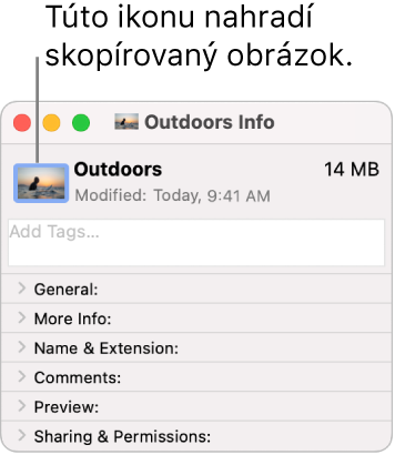 Okno Informácie pre priečinok zobrazujúce všeobecnú ikonu nahradenú obrázkom.