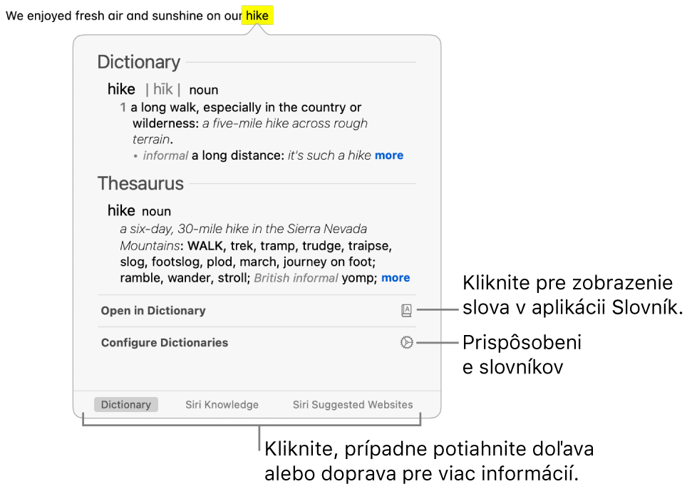 Okno Prehľadať zobrazujúce definície slova v slovníku a synonymickom slovníku.