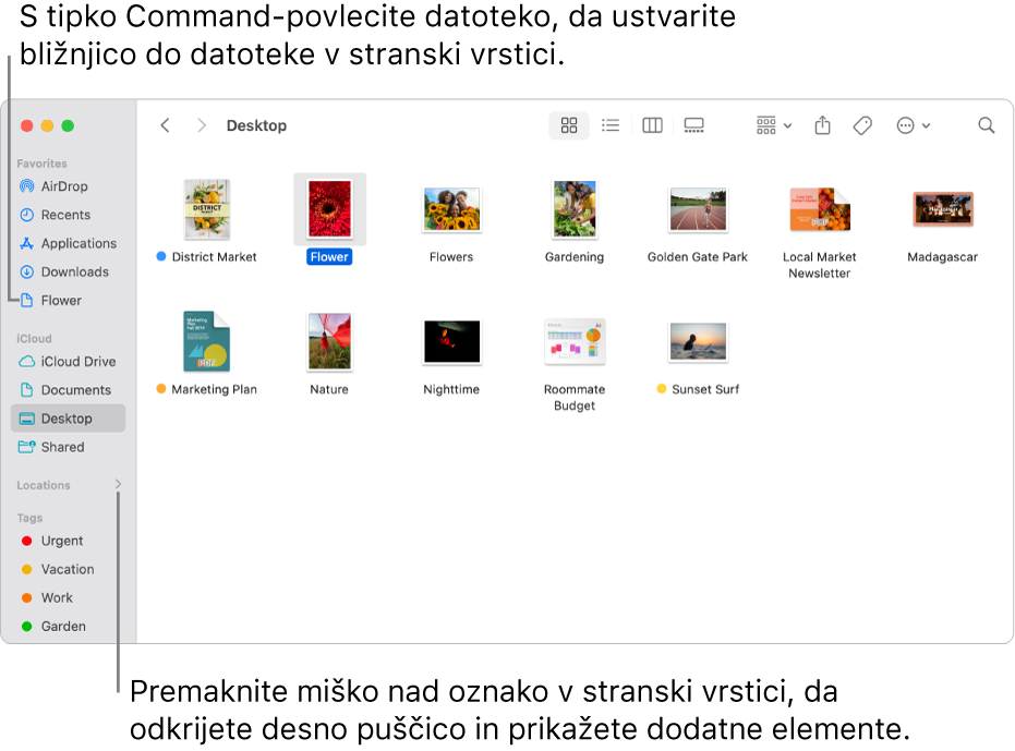 Desno od razdelka Lokacije v stranski vrstici aplikacije Finder je puščica, ki jo lahko kliknete za prikaz dodatnih elementov. Na desni strani okna aplikacije Finder je izbrana datoteka, v stranski vrstici pod razdelkom Priljubljeno pa je bližnjica do datoteke.