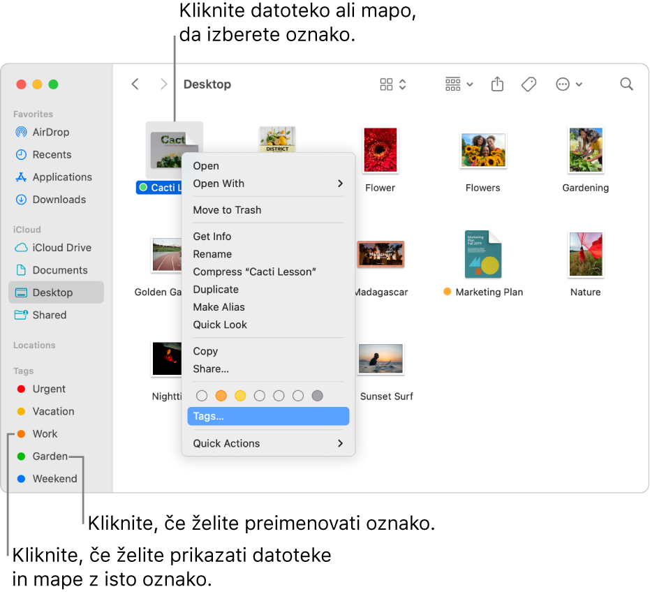 Okno aplikacije Finder, ki vsebuje označene datoteke in mape, z izbrano datoteko. V priročnem meniju je prikazanih več barv za oznake, označena pa je možnost Oznake.