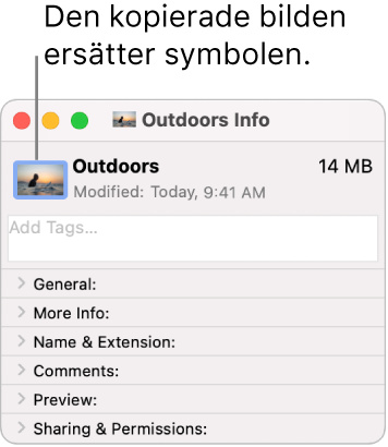 Infofönstret med en mapp som visar den generiska symbolen som ersatts med en bild.