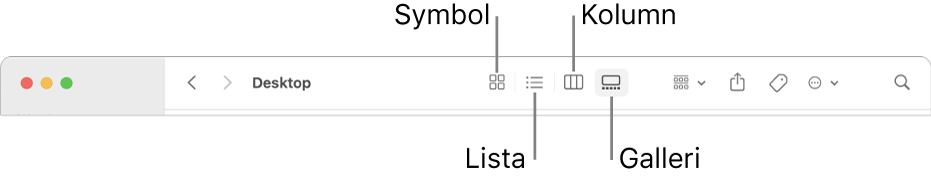 Ovandelen av ett Finder-fönster med vyknappar för en mapp.