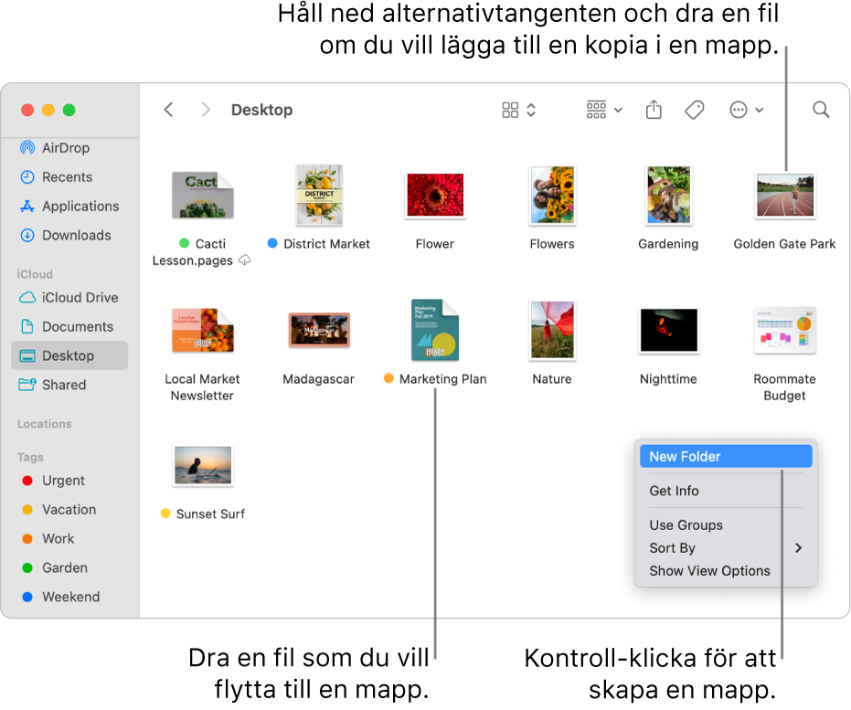 Ett Finder-fönster som innehåller filer och mappar. Ny mapp är markerat i kontextmenyn.