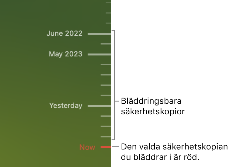 Gradstreck på tidslinjen för säkerhetskopiering. Den röda bockmarkeringen visar vilken säkerhetskopia du bläddrar i.