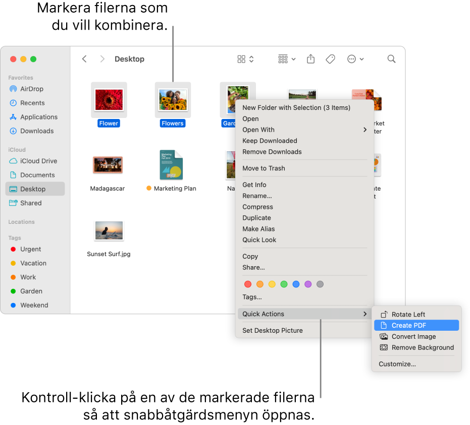 Ett Finder-fönster som innehåller filer och mappar. Tre filer är markerade och Skapa PDF är markerat i snabbåtgärdsmenyn.