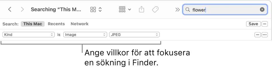 Ett Finder-fönster med fält för att ange sökvillkor.