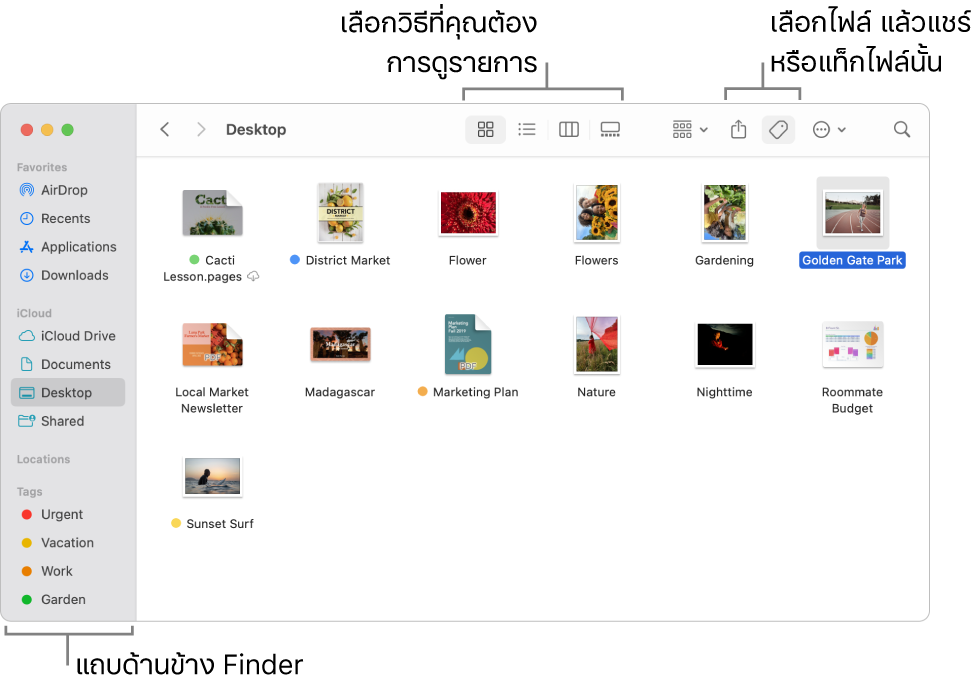 หน้าต่าง Finder ที่มีแถบด้านข้าง Finder ทางด้านซ้าย ที่ด้านบนสุดของหน้าต่างมีปุ่มสี่ปุ่มที่เปลี่ยนวิธีที่รายการแสดงในหน้าต่าง และปุ่มเพิ่มเติมสำหรับจัดระเบียบและแชร์รายการ